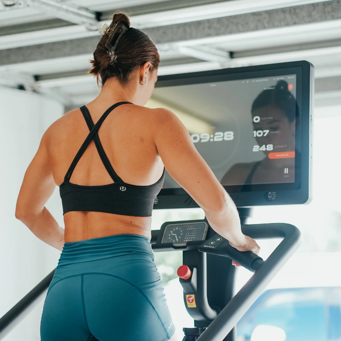 STEPR PRO+ Stair Climber
